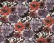 Floral design Polyester curtain fabric suitable for door & windows